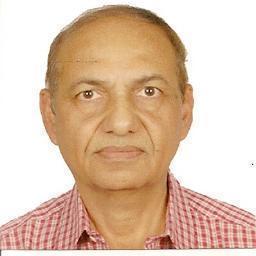 Presently working Professor of electrical engineering at BIST Kokta Bhopal.Earlier seved BHEL HWR & Bhopal & retired in 2012 as AGM  (motor sales & marketing