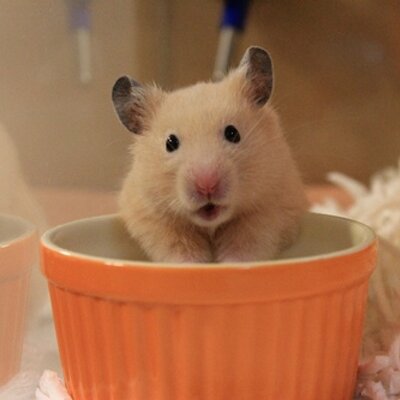 はみ出汁 はむす谷 慢性的に乳首がかゆいな はみ出汁 はむす谷 慢性的に乳首がかゆいな