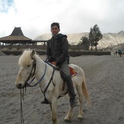 Traveliing, Business & Investing - Low profile High profit