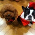 Liko by maris 渡辺 圭 (@keiwatanabe0130) Twitter profile photo