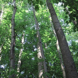 LehighEcology Profile Picture