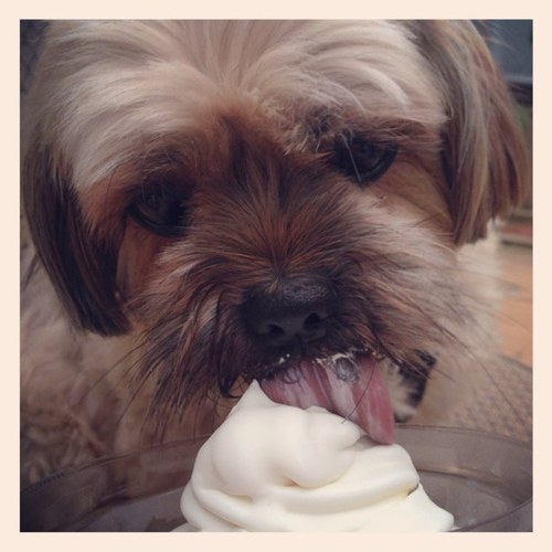 mld2465's profile picture. 