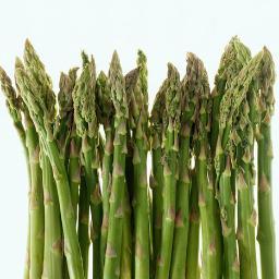 Organic gardening network