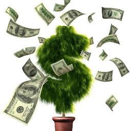 ProspectPark_'s profile picture. Brooklyn's favorite park... for sale!