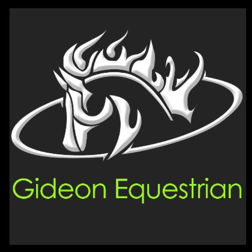 Abigail Leiha Bunker 
Horse Trainer Auckland NZ

Have compassion, learn to listen and respect. your horse speaks in silence you need to  listen, equal respect.