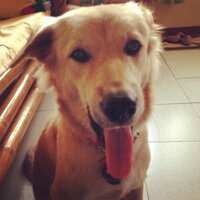 Juie Ann Crampatanta (@julieanncram) 's Twitter Profile