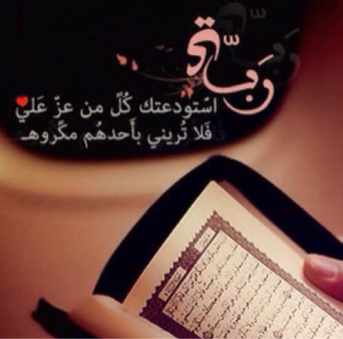 Meshal__1992 Profile Picture