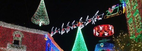 DisneyWorldXmas's profile picture. Photographs from Disney World at Christmas, Planning for vacation at Disney World over the Christmas Holiday.