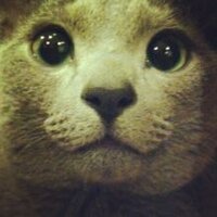 Sonota (@yuandundun) 's Twitter Profile
