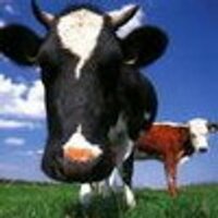 Киселева Лариса (@anotcrypdarol) 's Twitter Profile
