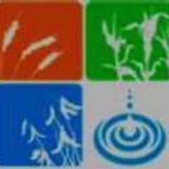 DanaPaani's profile picture. http://t.co/0mnASCM9sp is Mumbai’s BEST “Online Grocery Shopping Store” with a span of merchandise catering FREE HOME DELIVERY with Exclusive Offers
