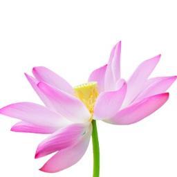 General, Surgical and Cosmetic Dermatology in Mount Pleasant and Pawley's Island.