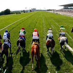 robertrandles17's profile picture. Horse racing fan/tippster