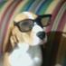 Sergio León Bautista (@sergioleonba) Twitter profile photo