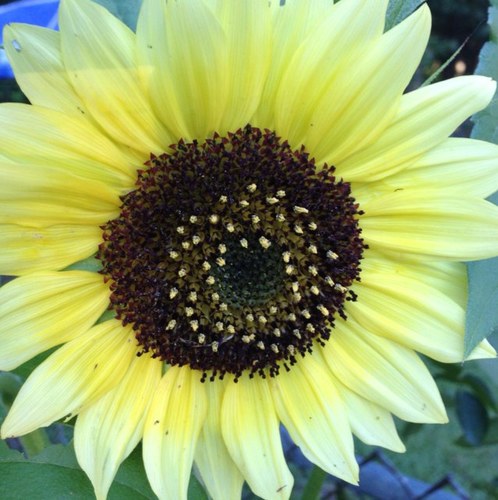 Jennyelderkin's profile picture. 