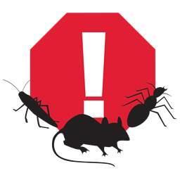 http://t.co/HRsQI1fMna Leading in pest control & property prevention covering the UK. best price on all contracts and one off treatments 07810 737 176