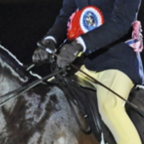 showingproblems's profile picture. Just a few funnies about showing really- tweet us your thoughts on showing @showingproblems or use the #showingponyproblems