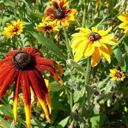 livinginthworld's profile picture. 🇬🇧イギリスで大学の先生をしています
音楽🎹/旅✈️/アート🖼️/編み物/犬🐶が大好き