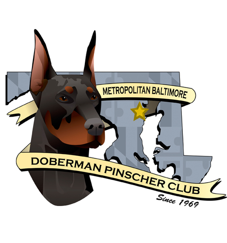 We are the Metropolitan Baltimore Doberman Pinscher Club (MBDPC) a non-profit, American Kennel Club recognized, local chapter club of the DPCA.