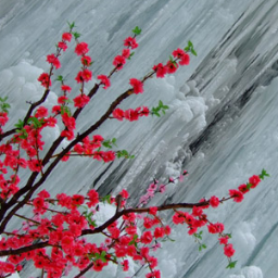 _rPac's profile picture. (pro, spa, eng, sci)