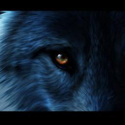 12EllaS's profile picture. 