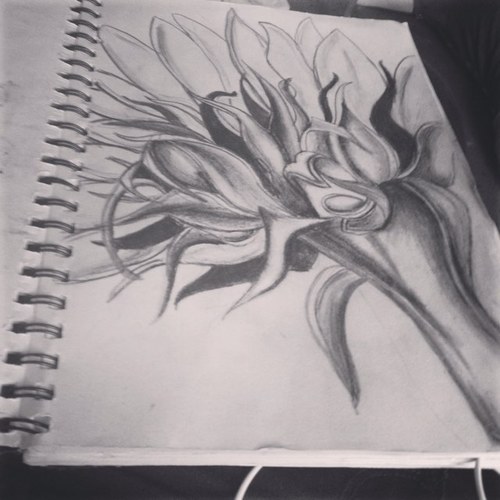 Hey,My passions are art,photography,music. I spend all my time on youtube :/:/