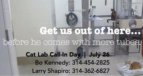 Animal experimentation will not end until WE make it stop. Be a compassionate shopper and stop funding the torture.