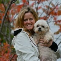 Lisa Robbins - @LisRobbins Twitter Profile Photo