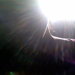 dburlet's profile picture. =) ^-^ (y) O.o :) ~@¿@ :p *.*