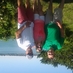 Lynne DePonte (@ldeponte) Twitter profile photo