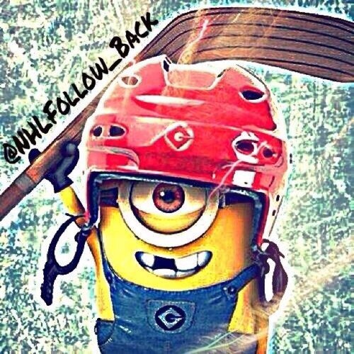 Want a free follow, follow me. I follow back all hockey fans and on occasions, I host follow trains! I post hockey tweets! Lets bring the NHL family together!!!