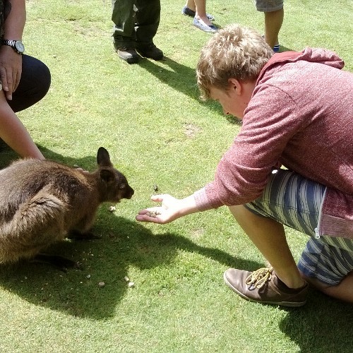 ChrisOsborne141's profile picture. 