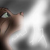 Thunderstar (@starclan_cat) Twitter profile photo