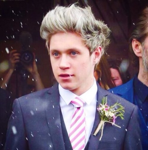 ''Eu prefiro ser uma criança e brincar com aviões de papel, do que 

ser uma homem e brincar com o coração de uma mulher''

— Niall Horan