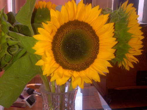 Beer_Store_Girl's profile picture. 