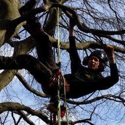 Doctor Green - Tree Surgeon

Tree care specialist and Landscaping Services
Fully Insured and NPTC Qualified

call Richard on - 07707567033 or 01207292883