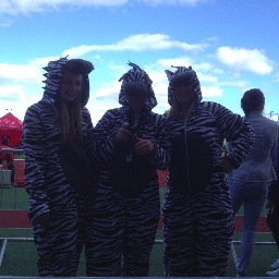 HendrieJanice's profile picture. Zoomin Zebra Fan