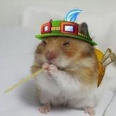 srpepinilloman's profile picture. Jugador de juegos