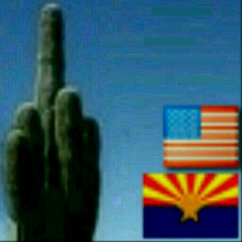 U.S. citizen, conservative, naturally & artificially flavored, future waterboardee, drone target, politically incorrect.