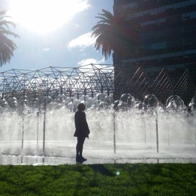 YiranNg's profile picture. A curiouser