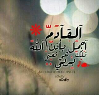 النَّسيانُ : تِلْكَ الأُمنِيَة المَبْدُوءَة بإسمِي .. الأُكذوبَة الَّتِي وَشَمَها الحُزنُ بِبَراعَةٍ على كَتفِ ذاكِرَتِي وقَلبِي!
