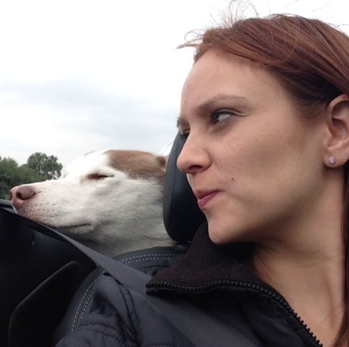 mariana_lluis's profile picture. 