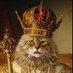Gato Rey (@gatorey) Twitter profile photo