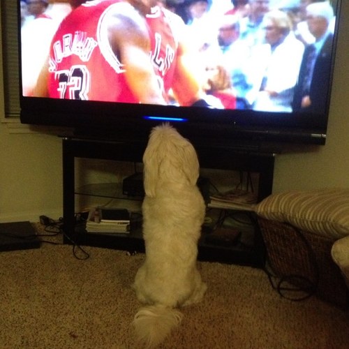 DanHaight2's profile picture. 