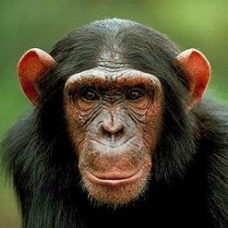 gomarketingblog's profile picture. We provide everything #marketing related from the basic how to’s through to advanced knowledge and tips for expert marketing professionals.