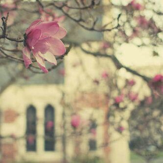 🌸 الحَياة قصِيرة كُن ذكرَى جمِيلة 🌸