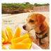 犬山イヌコ (@inuko55inuyama) Twitter profile photo 犬山イヌコ (@inuko55inuyama) Twitter profile photo