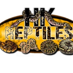éleveurs amateur de python regius