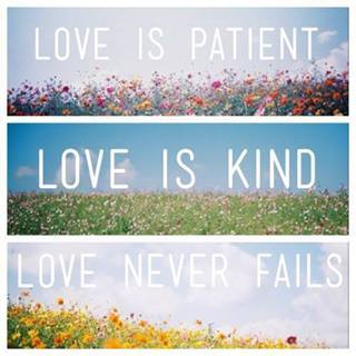 justdomini's profile picture. Let Love Be.  Fan Girl. ♥♡♥♡