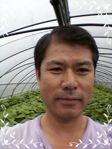 아침이슬농원.황종하.깻잎.상추.깻잎김치.